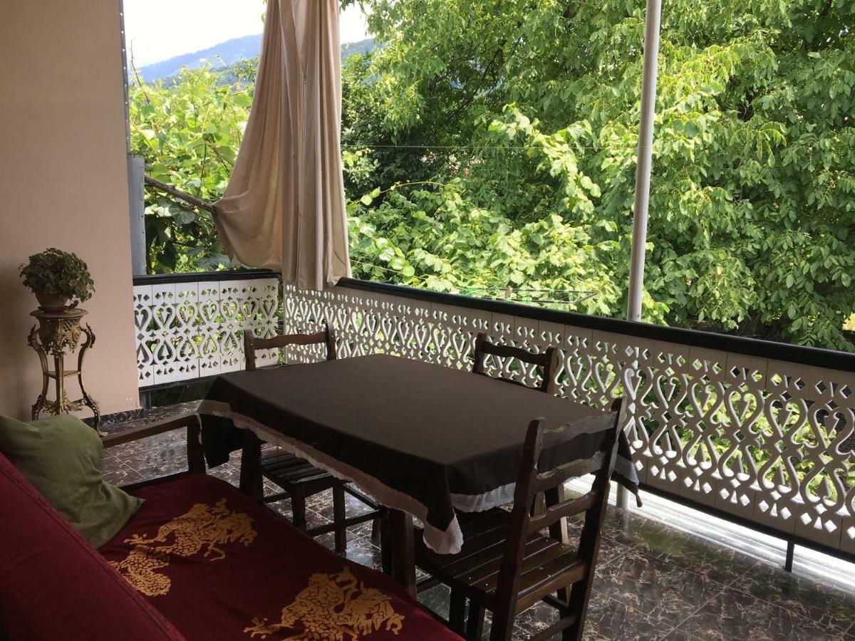 Guesthouse Aisi In Lagodekhi Luaran gambar